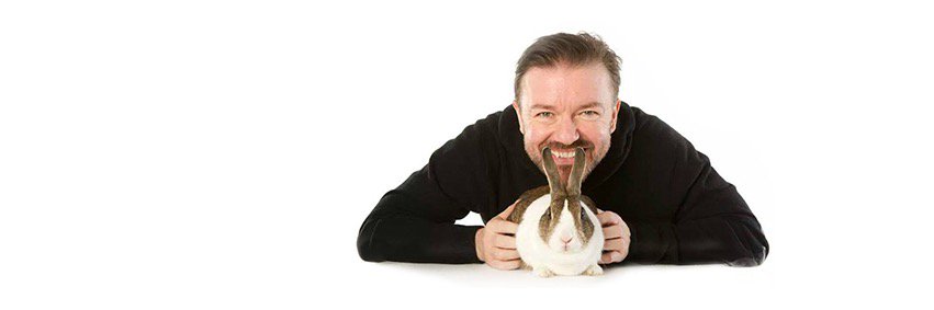 GervaisAnimals's profile banner image