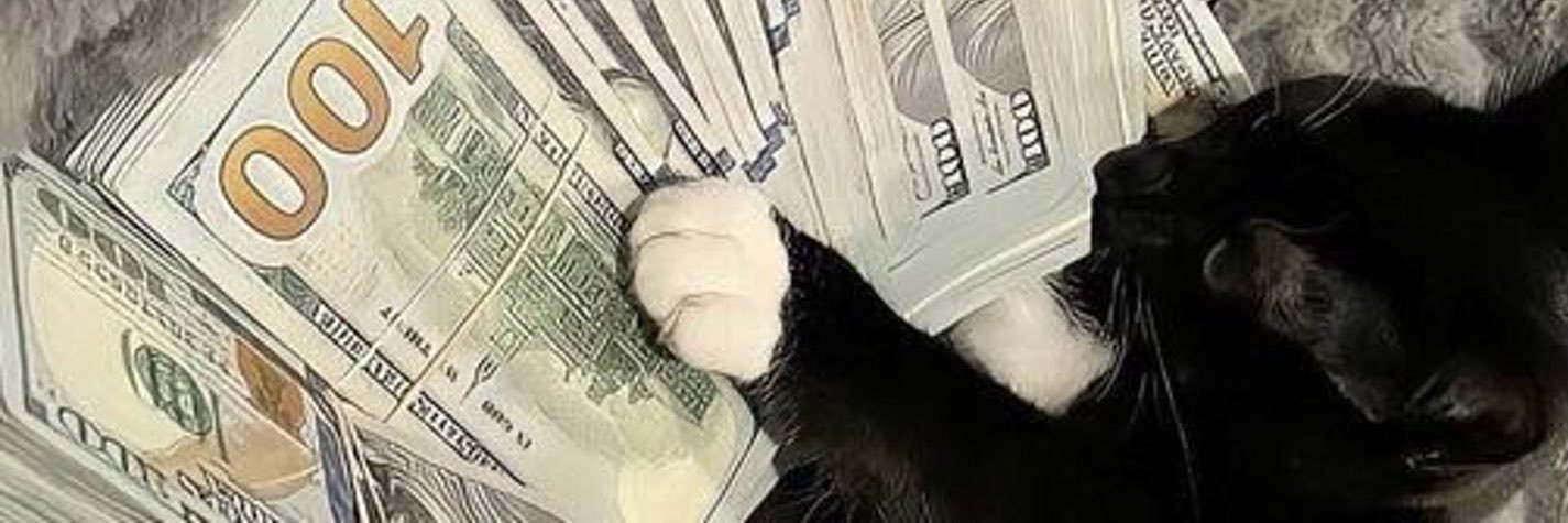 nemzie's profile banner image