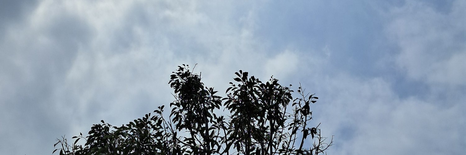 awanterus's profile banner image