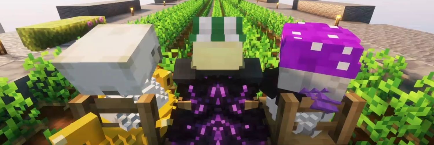 Paw 👾🇵🇾 banner