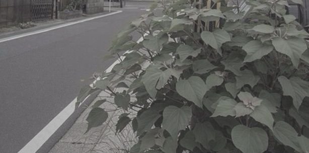 marcgdrs's profile banner image