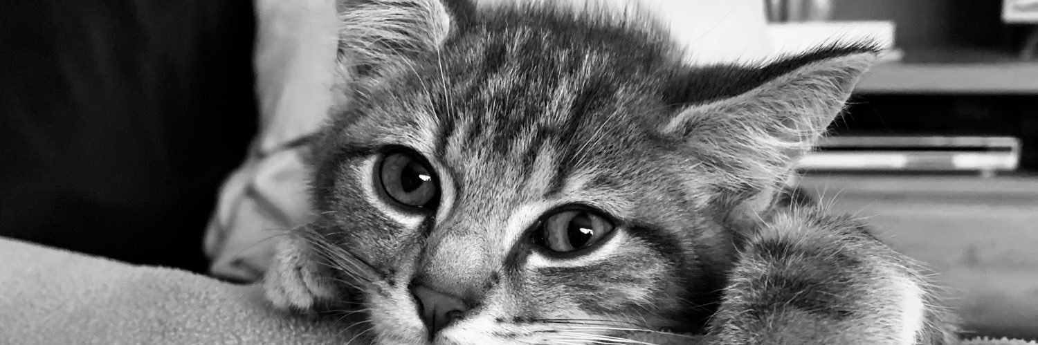 _marggt's profile banner image