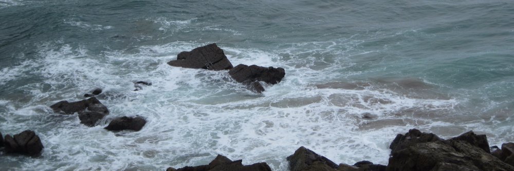 пані Марися banner