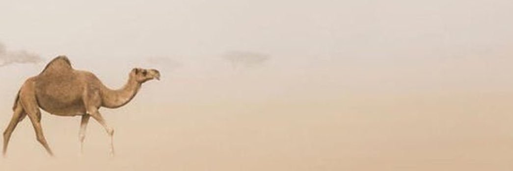 px_911's profile banner image