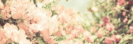 deviyanti27's profile banner image
