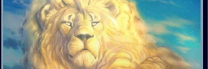 concholate3008's profile banner image