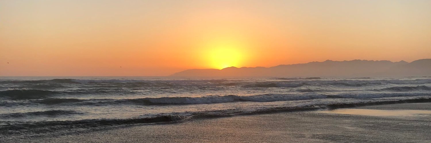 tayglauser's profile banner image