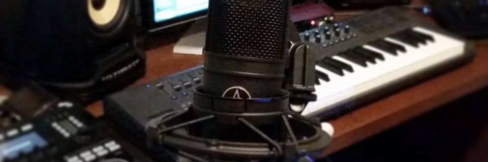 Wasted Records banner