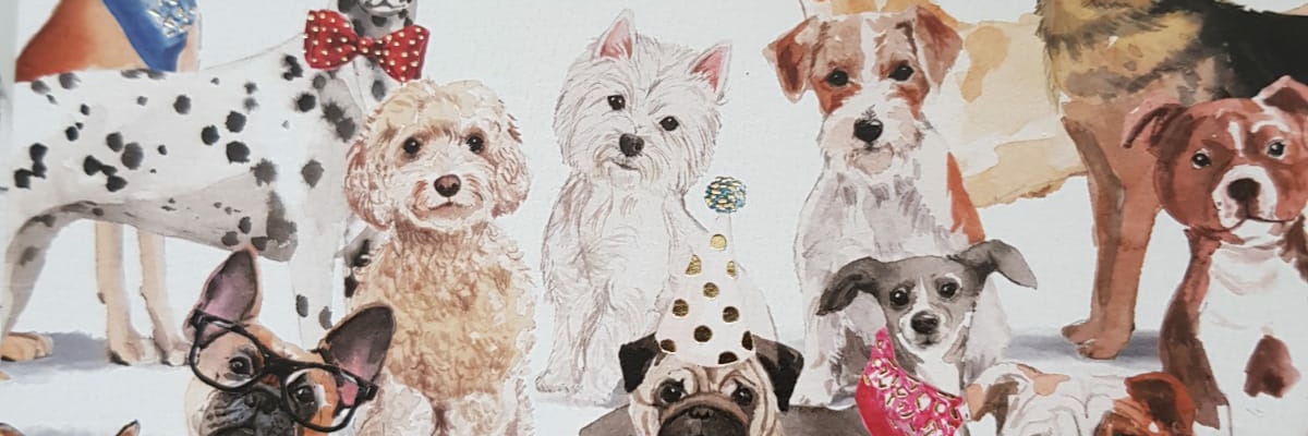 lyndamc115's profile banner image