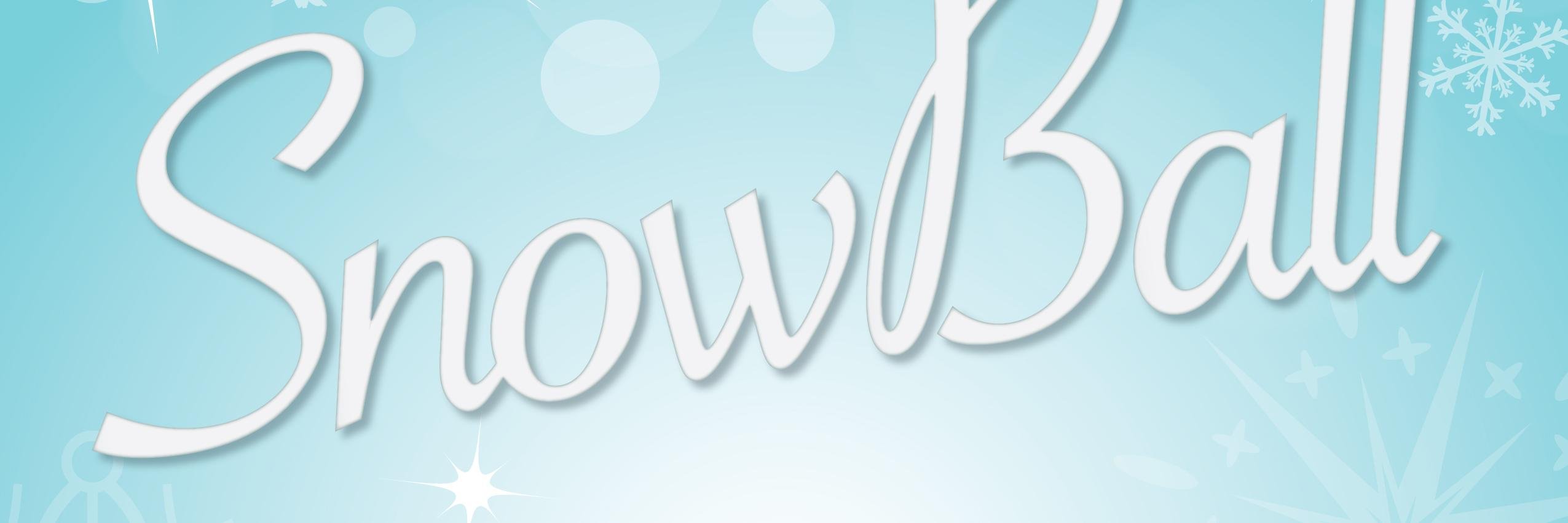 Snowball banner