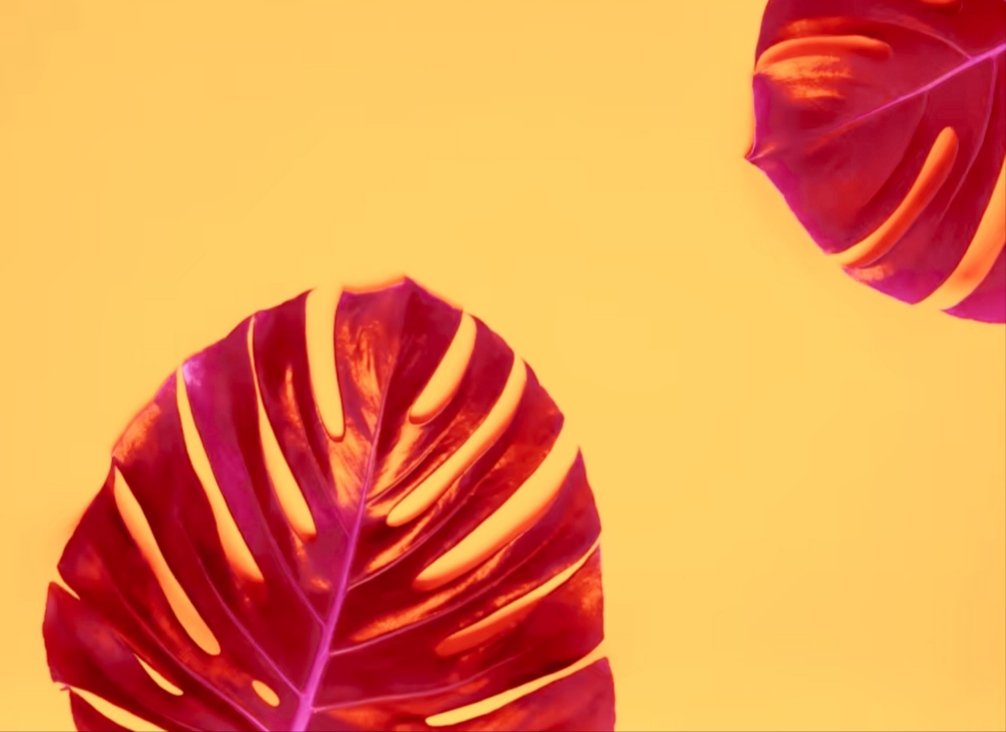 Mimi_1987_'s profile banner image
