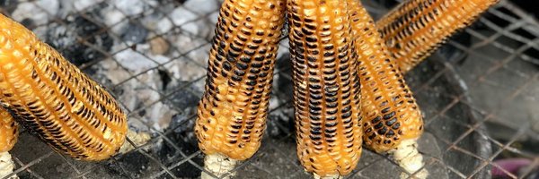 softglam_03 Profile Banner