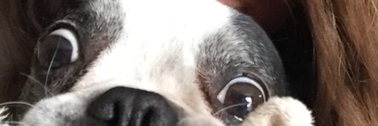 soribaifos's profile banner image