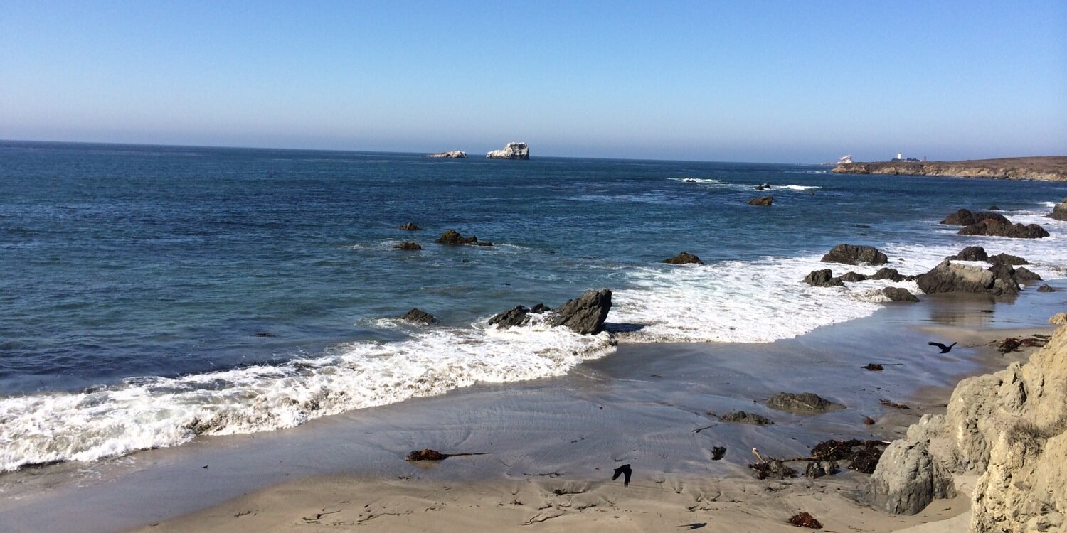 Jacqueline Cuneo banner