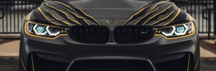 vdog401's profile banner image