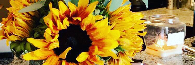 Hannah Tolson banner