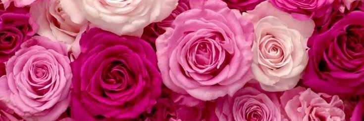 hano199503's profile banner image