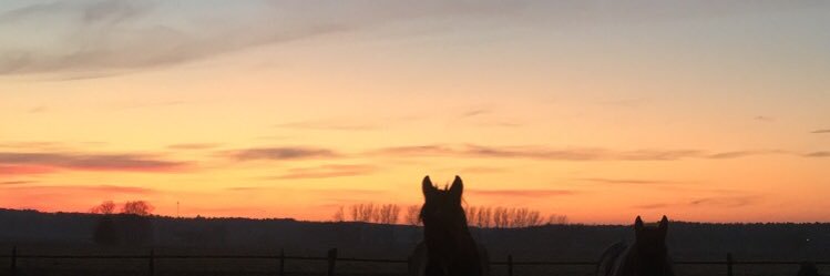Frida Skullman banner