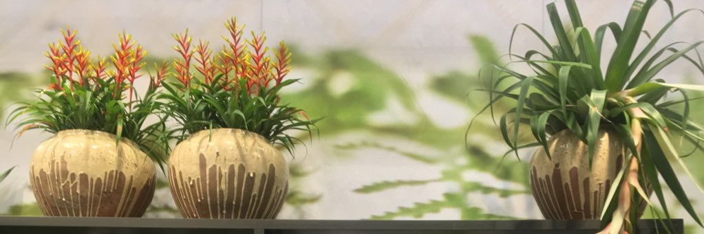 BrigitteHagen's profile banner image