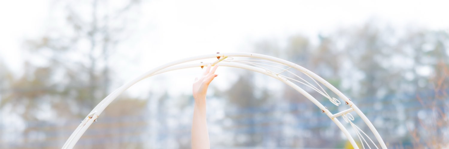 ポールのうさぎ banner