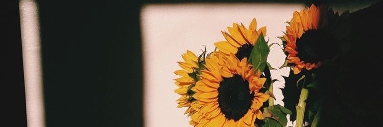 rosiebpaff's profile banner image