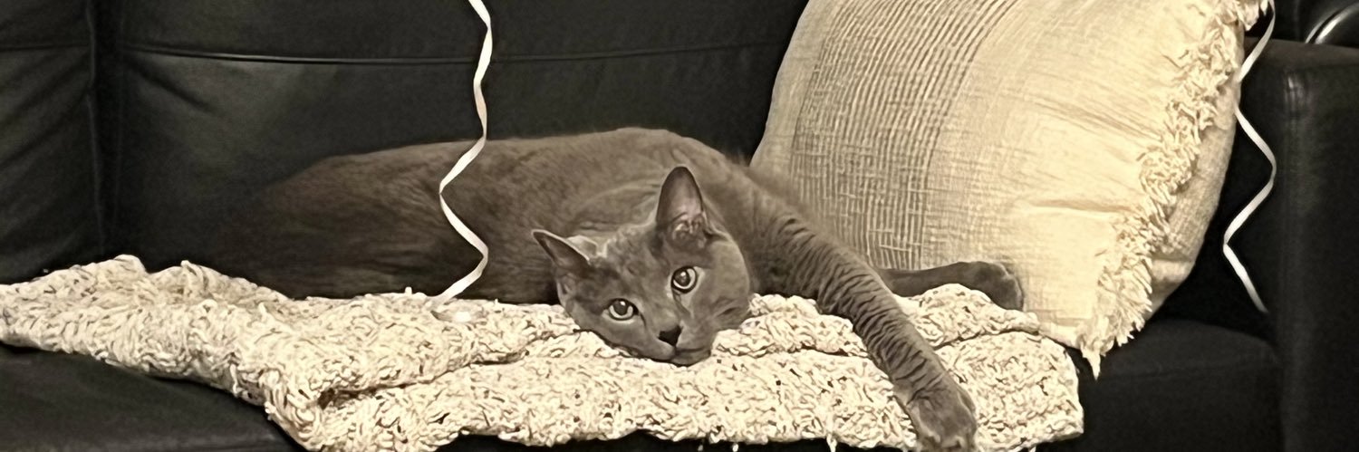 Keeks˙˚°✰ banner