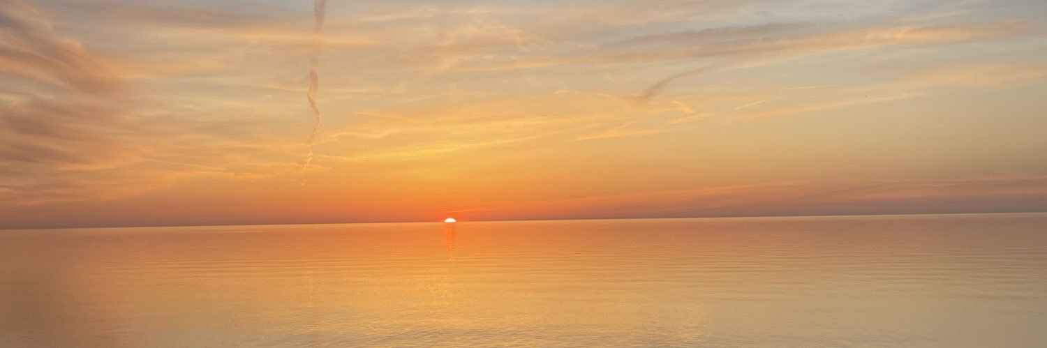 Janja Milisic banner