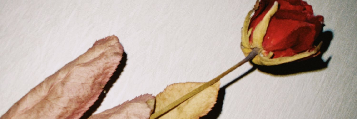 kasure_hh's profile banner image