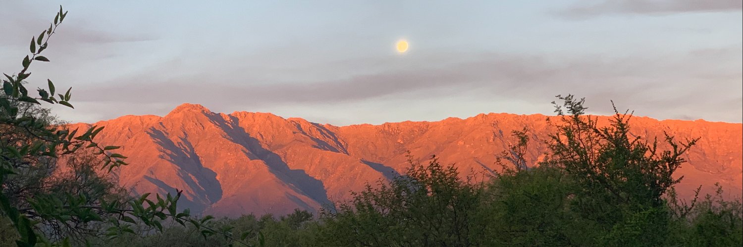 tammypeix's profile banner image