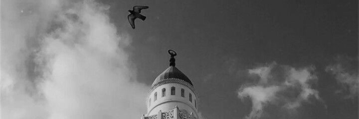 MuqeelBukhari's profile banner image