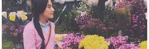 Zill banner