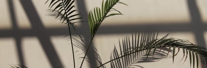cameronjoycee's profile banner image