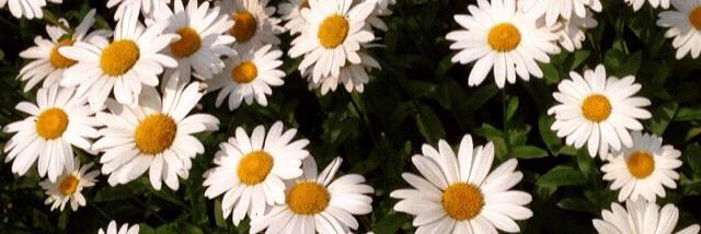 Breeze ☀️ banner