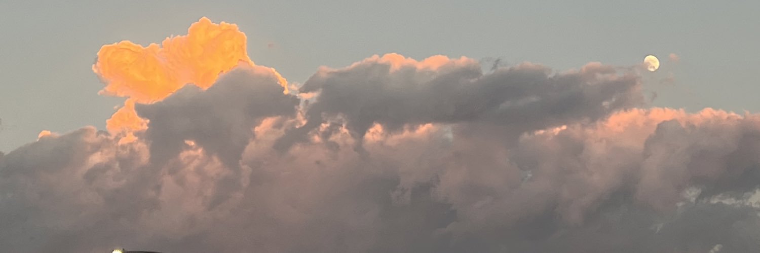 janineshakiraa's profile banner image