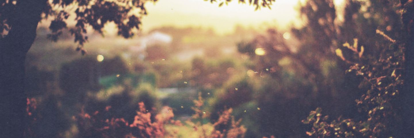 _Fraser94's profile banner image