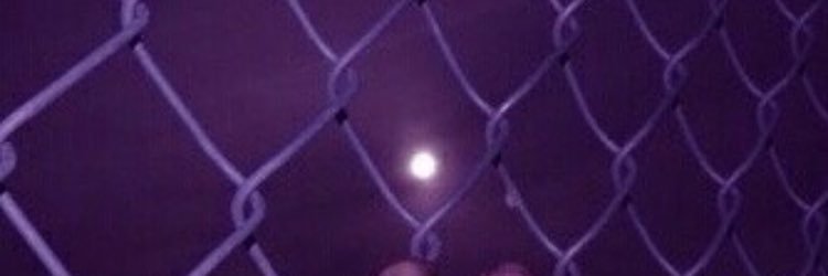 なっつ@ツイフィ必読 banner