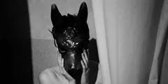 Sofiorgen's profile banner image