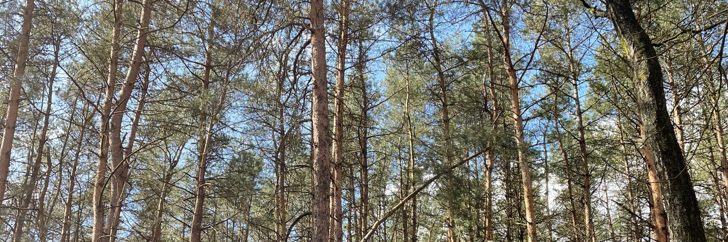 froysbesson's profile banner image