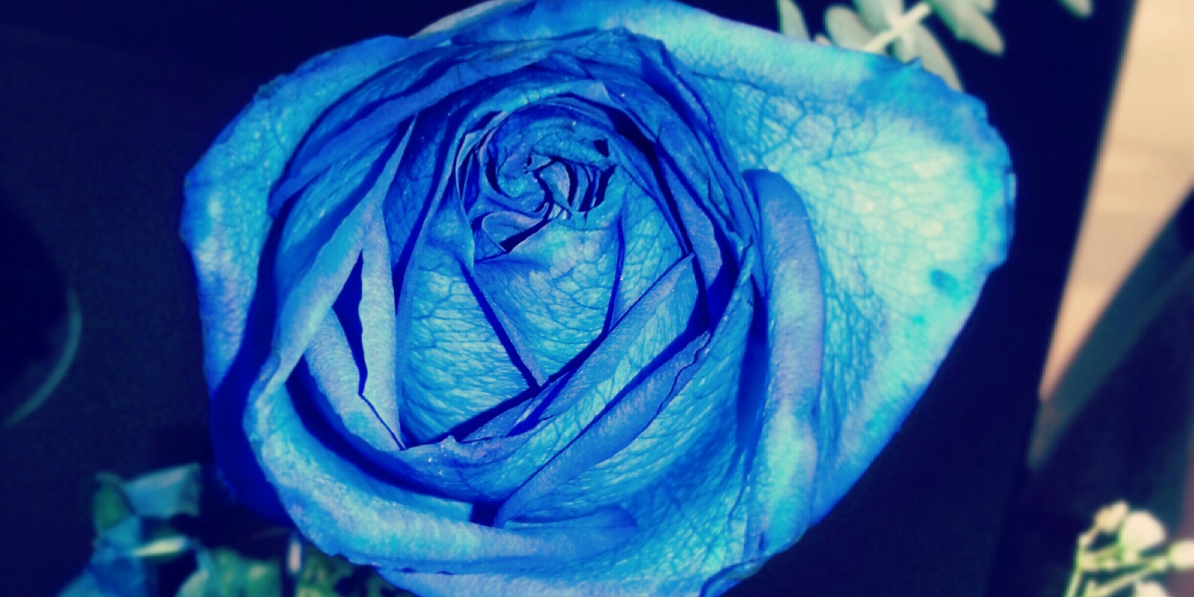 johaP07's profile banner image