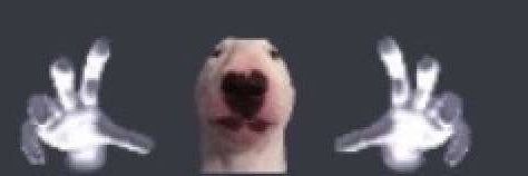 youareit_'s profile banner image