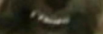 BananadogDK's profile banner image