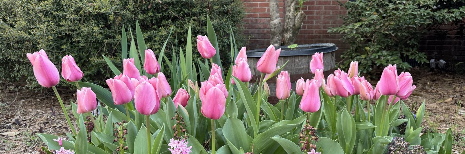 Christy Forehand banner