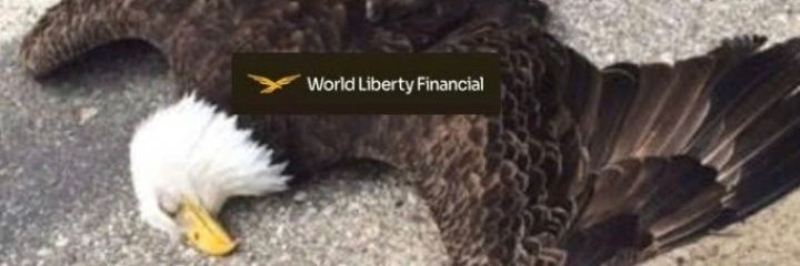 Willhard2010's profile banner image