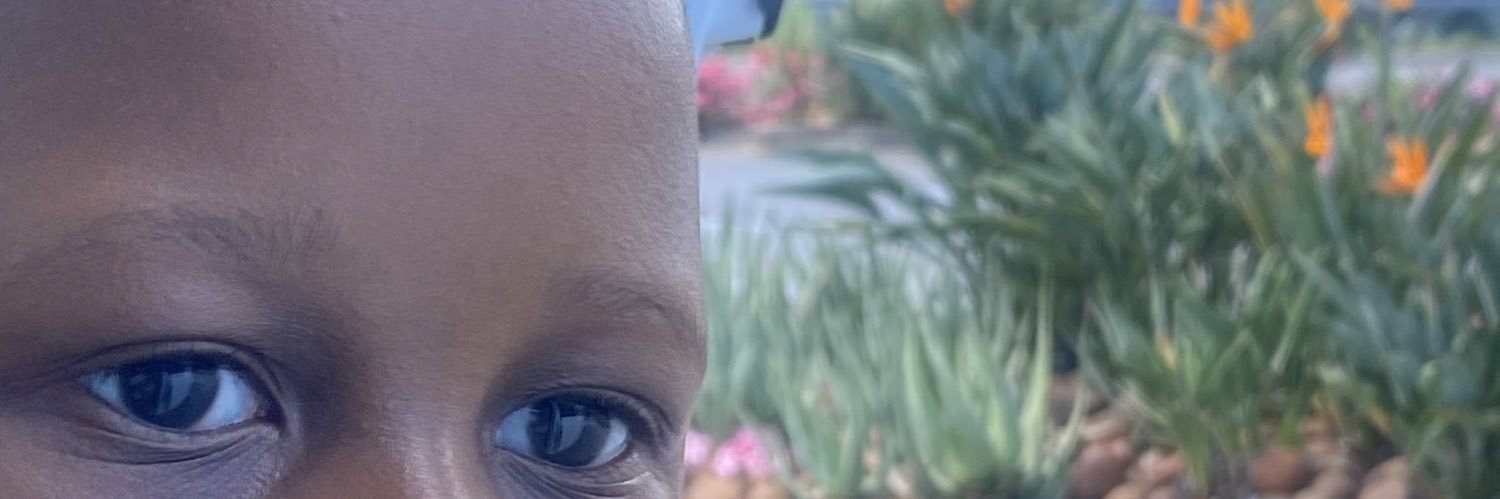Barbra_bee's profile banner image