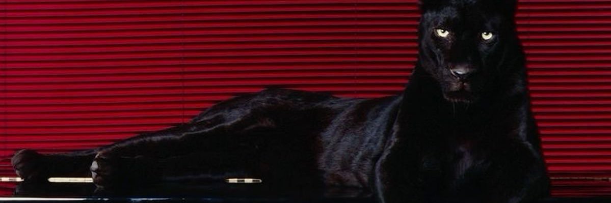 lolsoold's profile banner image