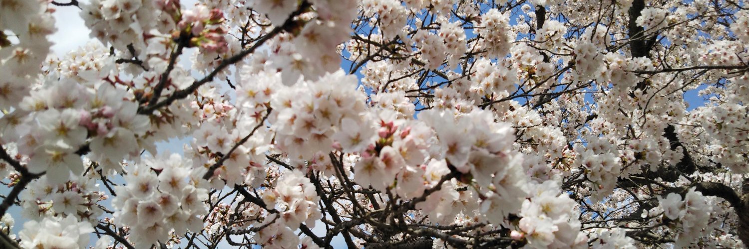 メタボリックで委員会 banner