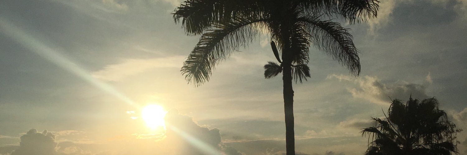DebraLGawet's profile banner image