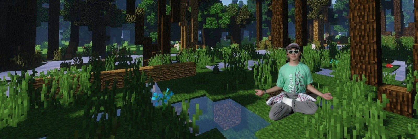 SteefTheChief's profile banner image