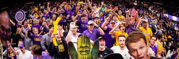 sauseCEO Profile Banner