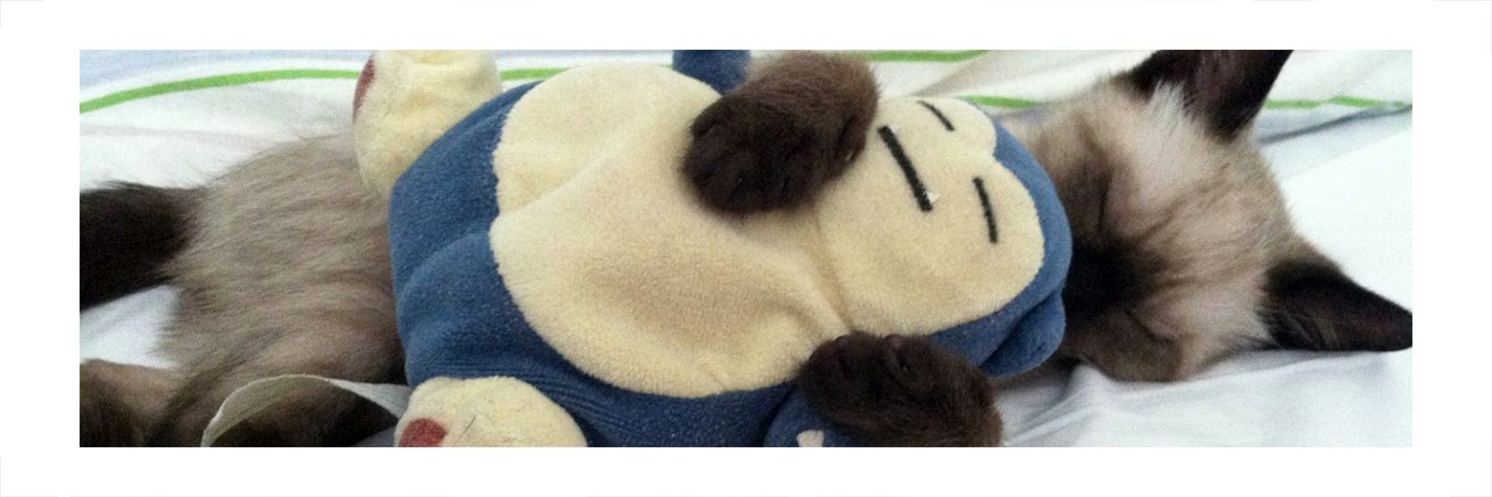 claudallgdr's profile banner image